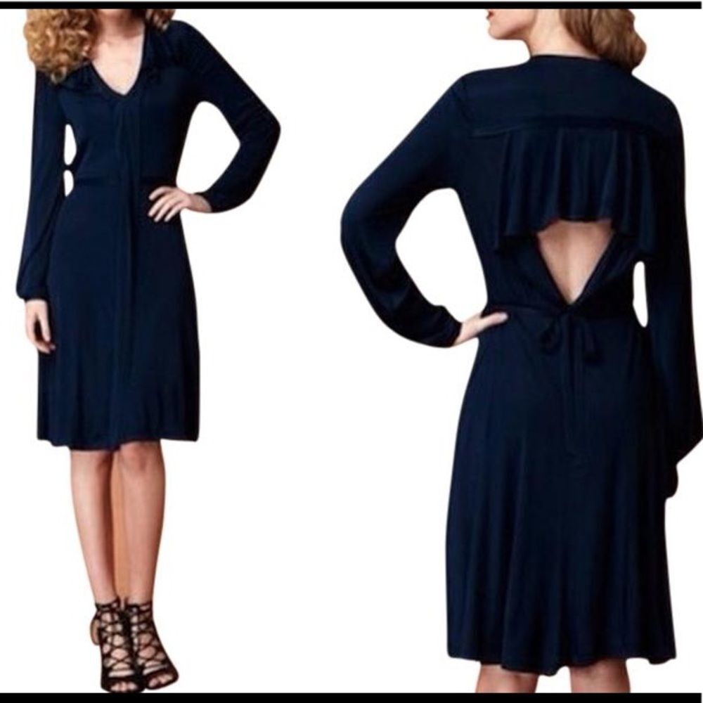 🔥5 for $25 sale🔥 Bcbgmaxazria Kathleen long sleeve open back dress
